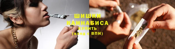 индика Остров
