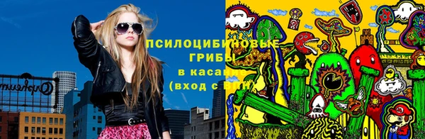 индика Остров