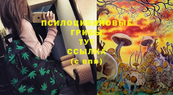 экстази Осинники