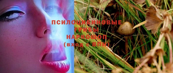 экстази Осинники