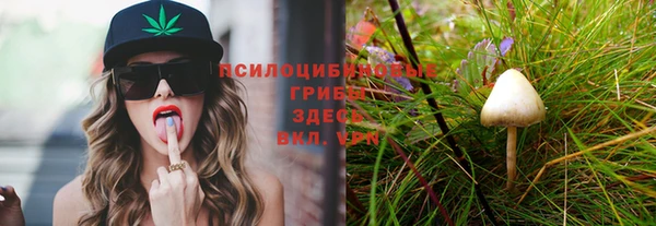 индика Остров